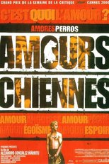 Affiche du film "Amours chiennes"