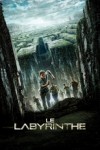 Affiche du film "Le labyrinthe"