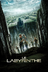 Affiche du film "Le labyrinthe"