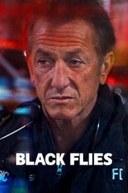 Affiche du film "Black Flies"