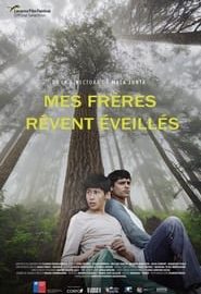Affiche du film "Mes frères rêvent éveillés "