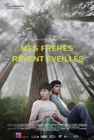 Affiche du film "Mes frères rêvent éveillés "