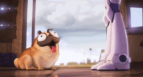 cute dog puppy aww pug doggo pup pupper connected sony animation connected movie monchi New GIF on Giphy #Dog #Pet | Pet holiday, Worms in dogs, Moving with a dog