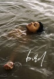Affiche du film "Bird"